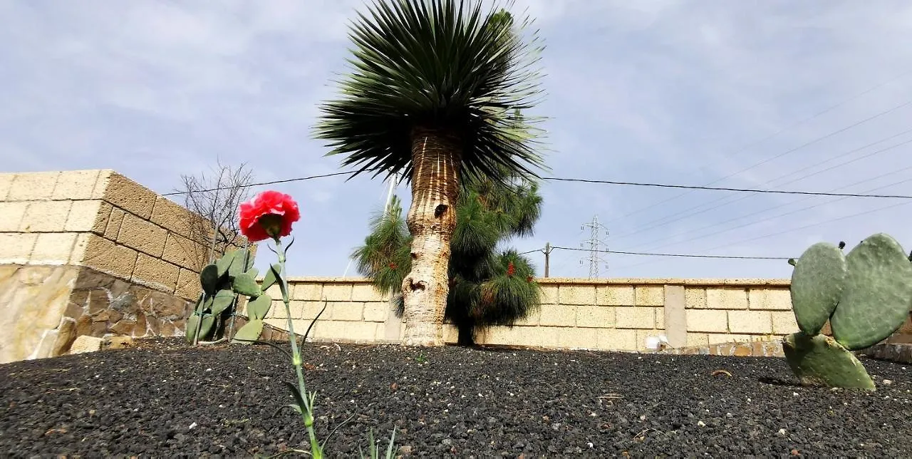 Casa Del Sur, En El Sur De Tenerife Βίλα Granadilla De Abona Σπίτι διακοπών